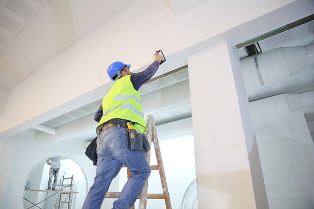 Best Comprehensive Air Testing for Mold Contaminants  in Woodville, AL